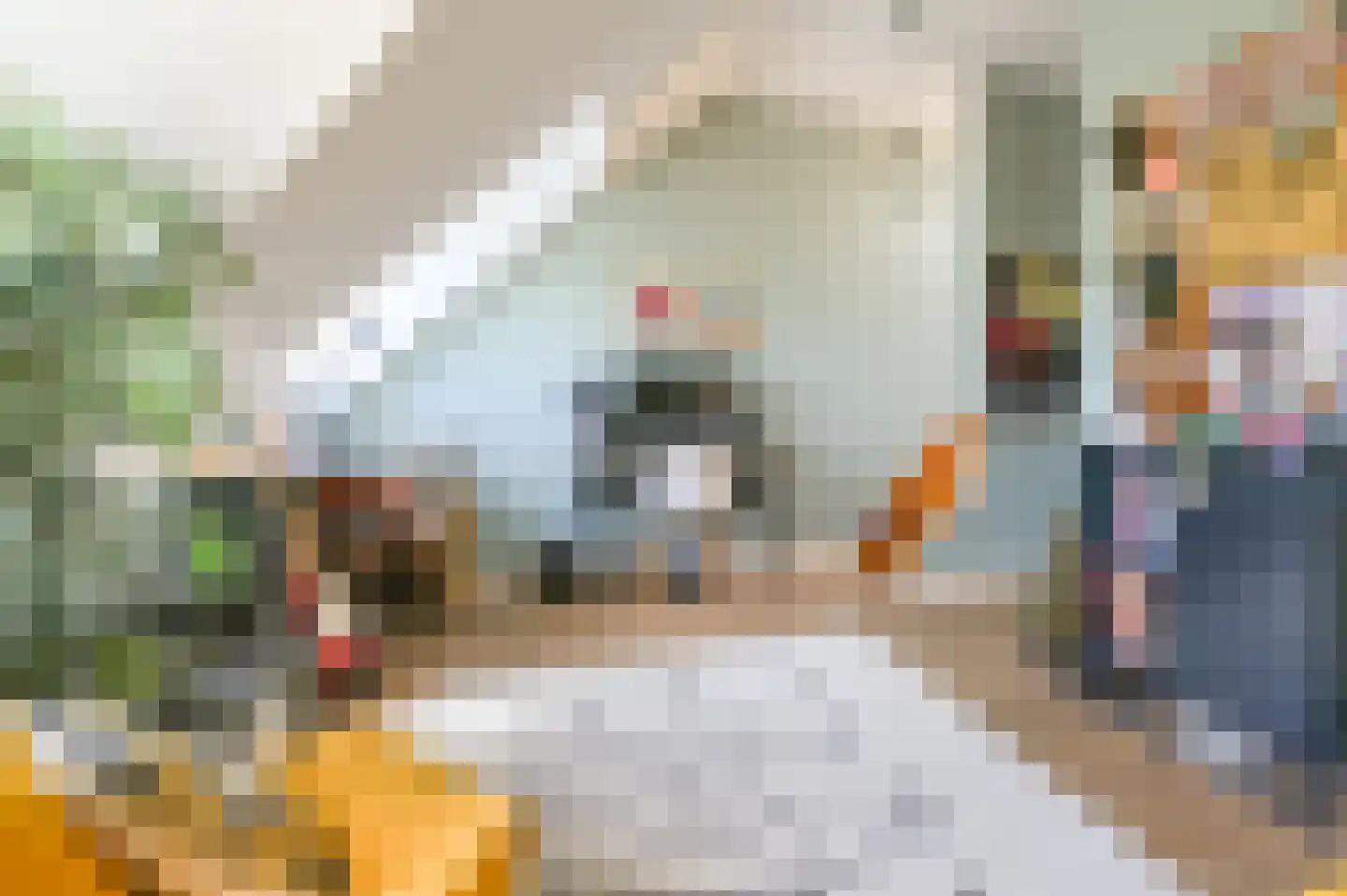 Santpoorterstraat 42 Haarlem thumbnail 56