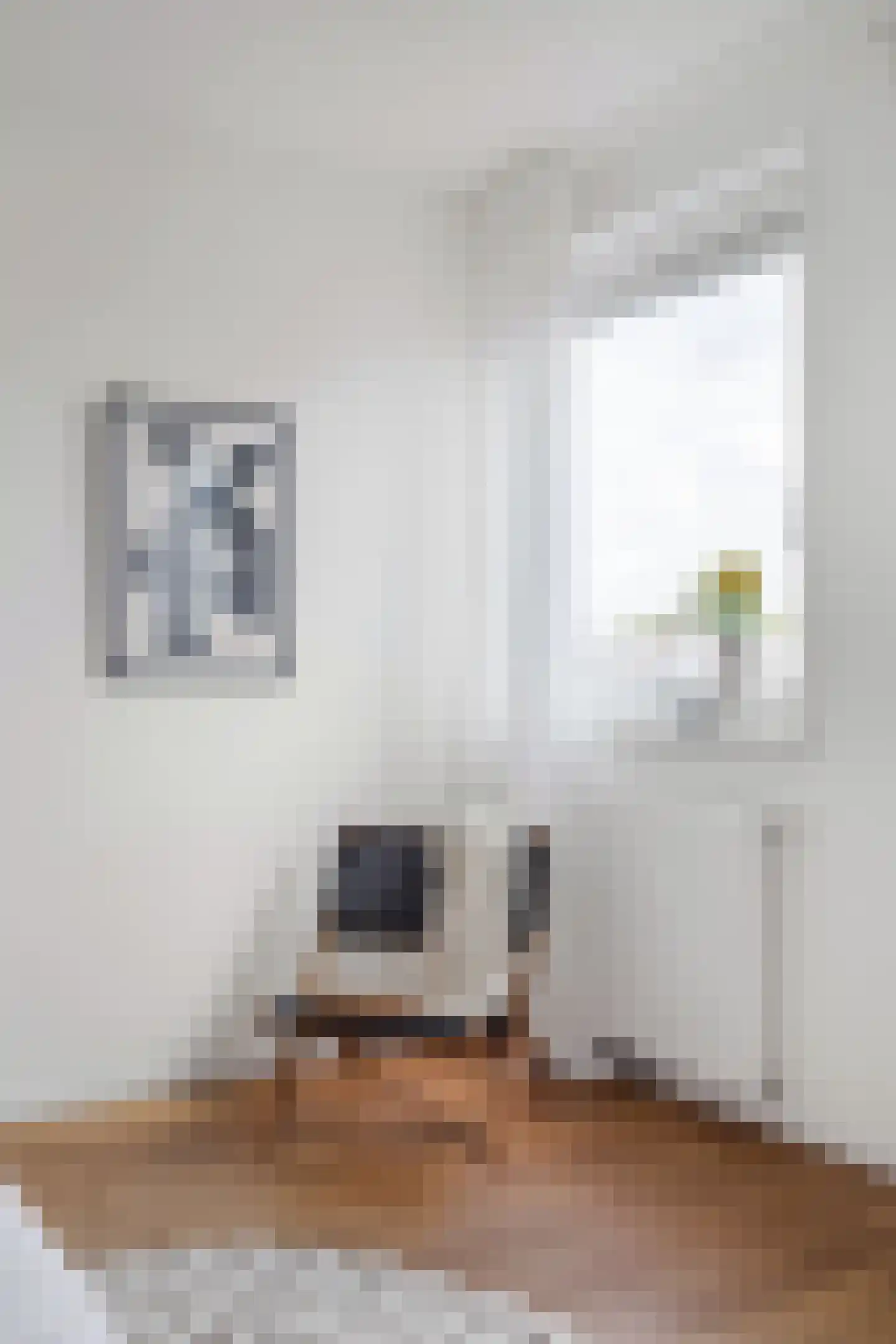 Santpoorterstraat 49 Haarlem thumbnail 17