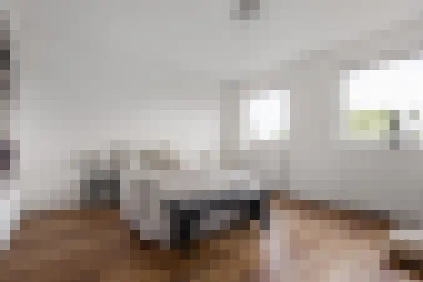 Santpoorterstraat 49 Haarlem thumbnail 18