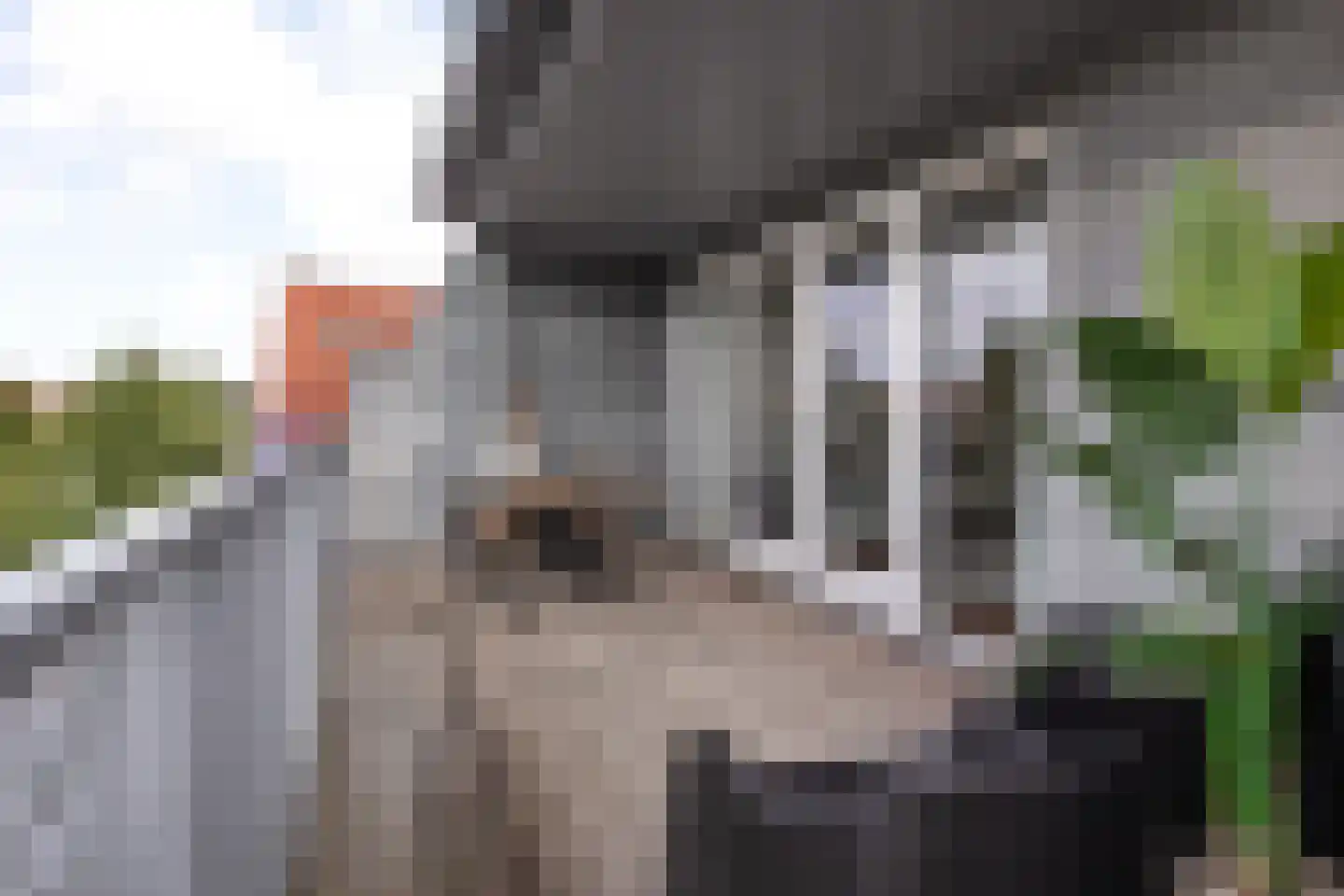Santpoorterstraat 49 Haarlem thumbnail 23