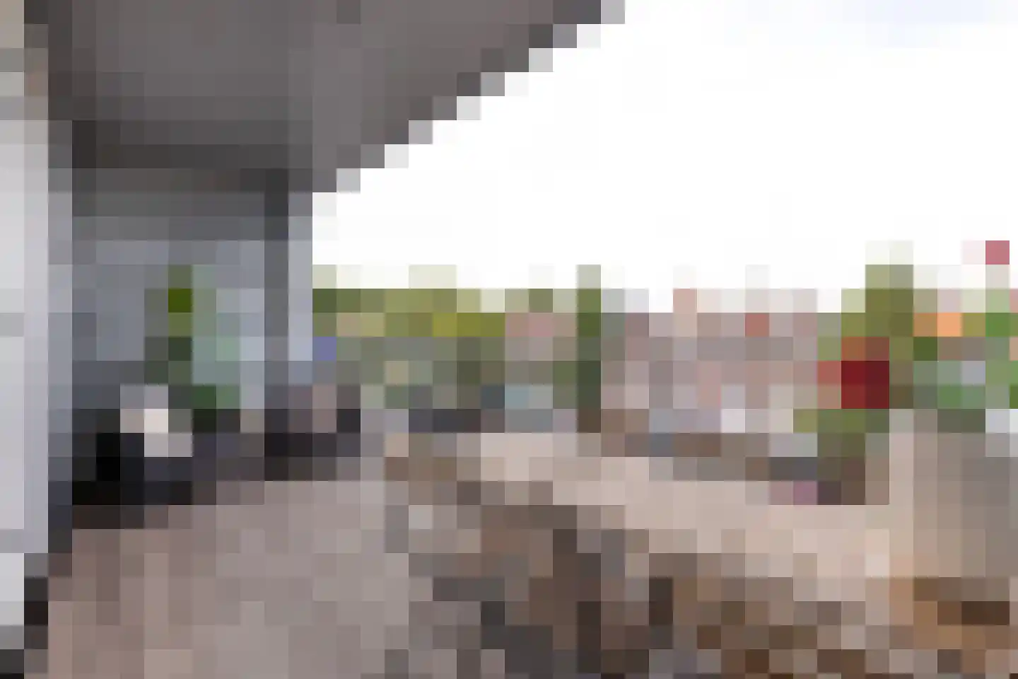 Santpoorterstraat 49 Haarlem thumbnail 4