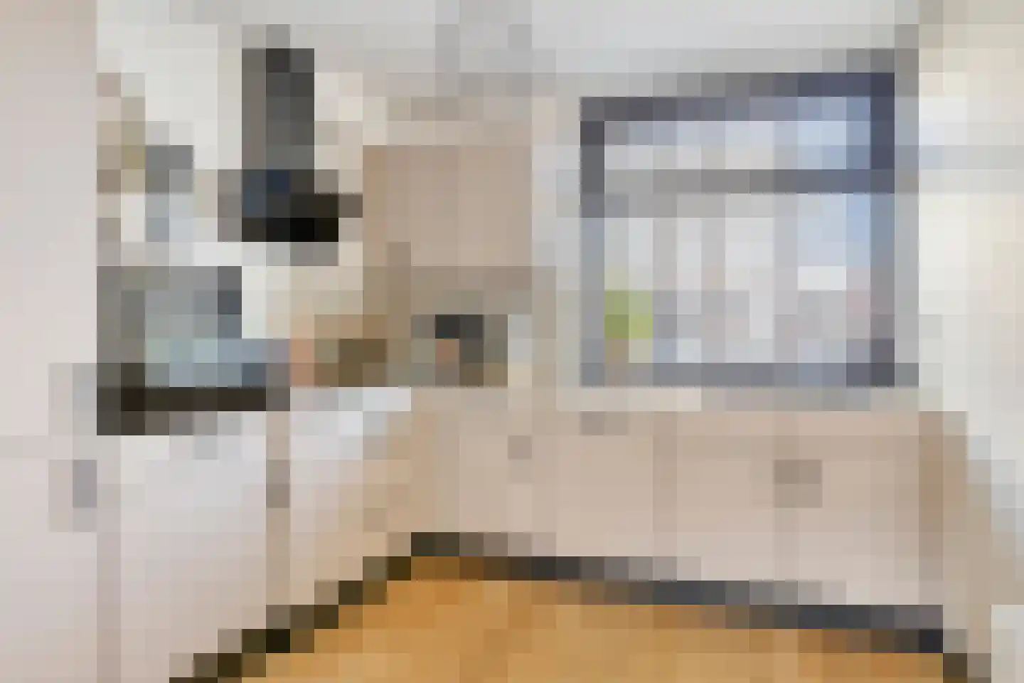 Santpoortplein 2 Tilburg thumbnail 14