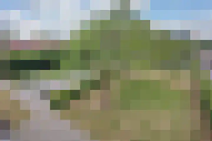 Santpoortse Dreef 104 Santpoort-Noord thumbnail 10