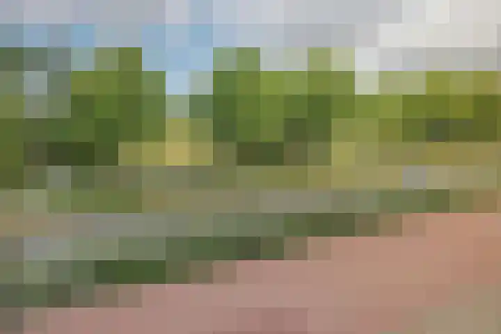 Santpoortse Dreef 104 Santpoort-Noord thumbnail 14