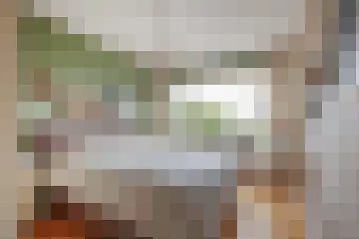 Santpoortse Dreef 104 Santpoort-Noord thumbnail 19