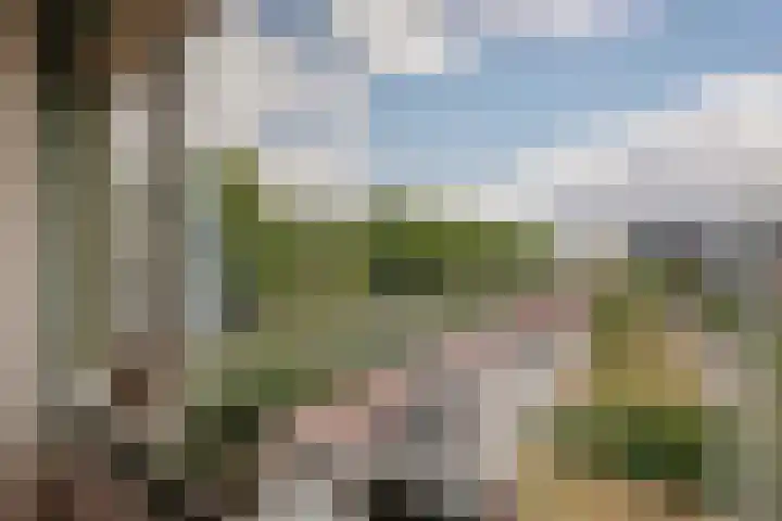 Santpoortse Dreef 104 Santpoort-Noord thumbnail 21
