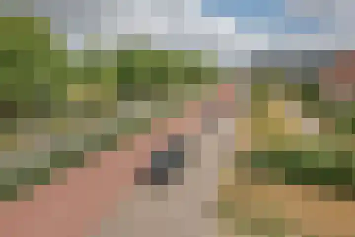 Santpoortse Dreef 104 Santpoort-Noord thumbnail 22