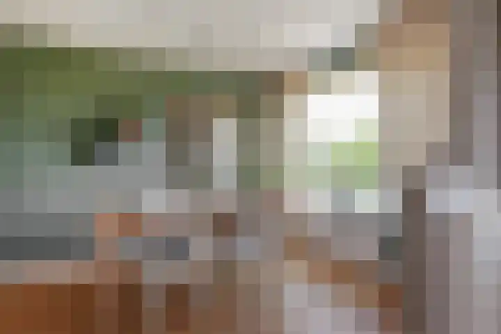 Santpoortse Dreef 104 Santpoort-Noord thumbnail 39