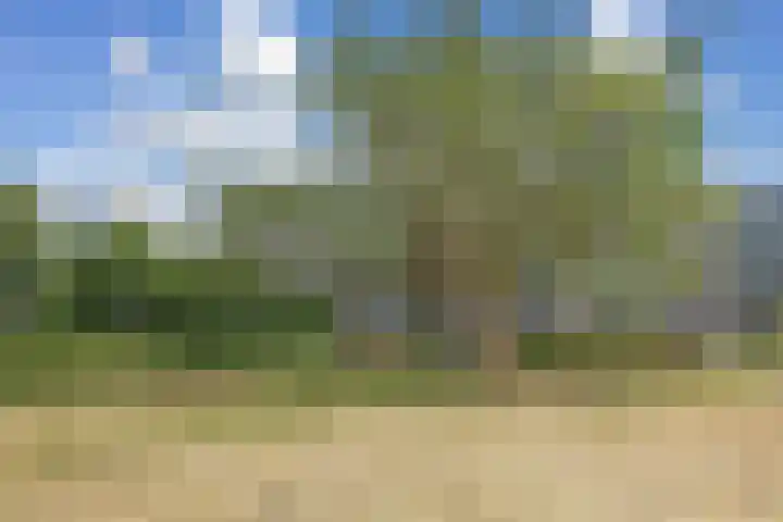 Santpoortse Dreef 104 Santpoort-Noord thumbnail 45