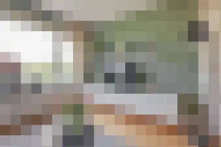 Santpoortse Dreef 104 Santpoort-Noord thumbnail 7