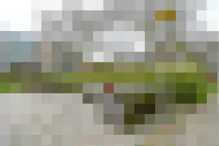 Santpoortse Dreef 116 Santpoort-Noord thumbnail 27