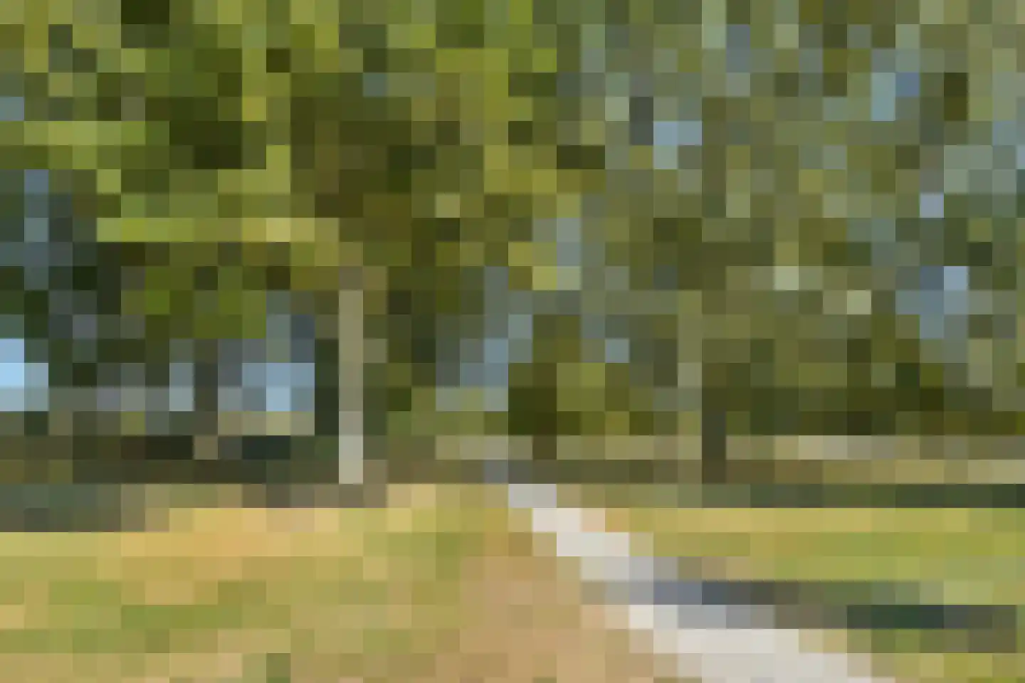 Santpoortse Dreef 142 Santpoort-Noord thumbnail 23