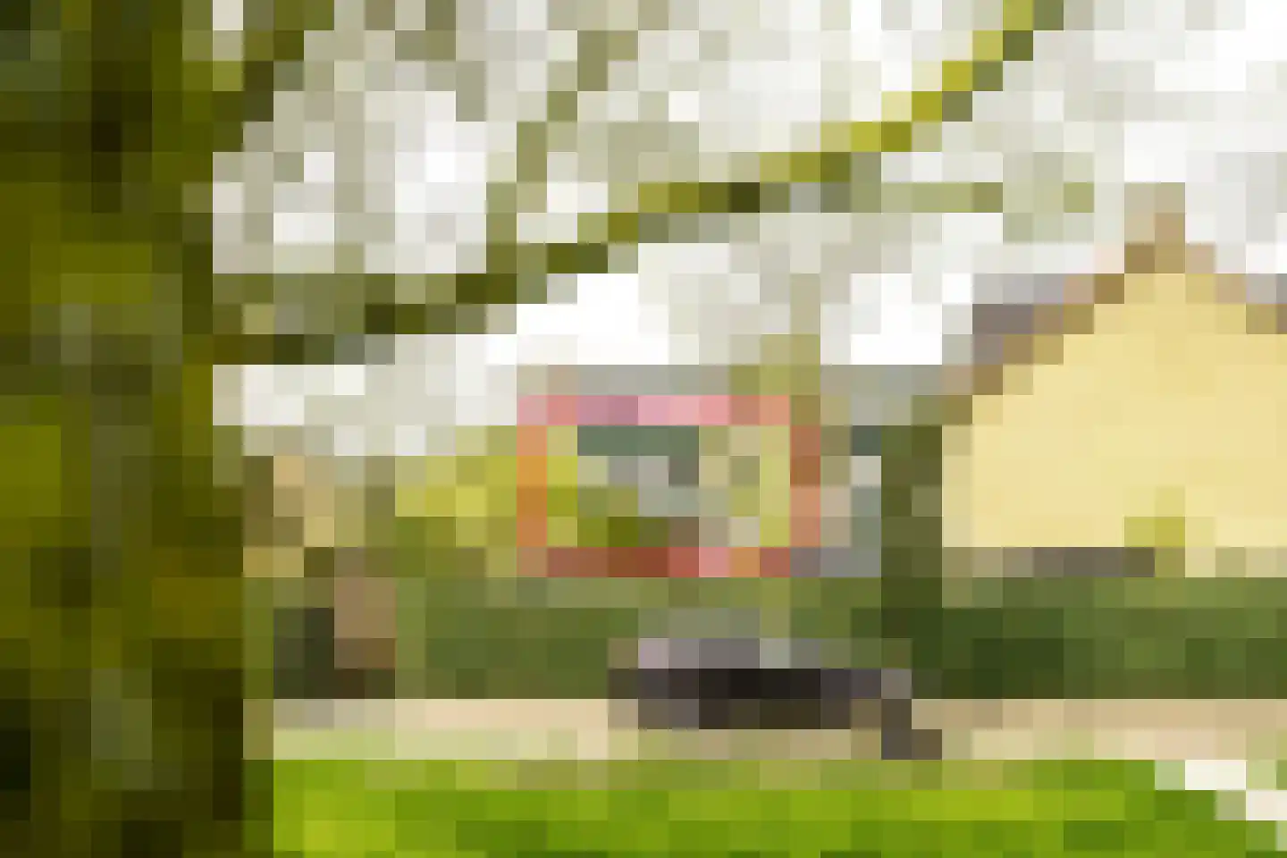 Santpoortse Dreef 150 Santpoort-Noord thumbnail 30