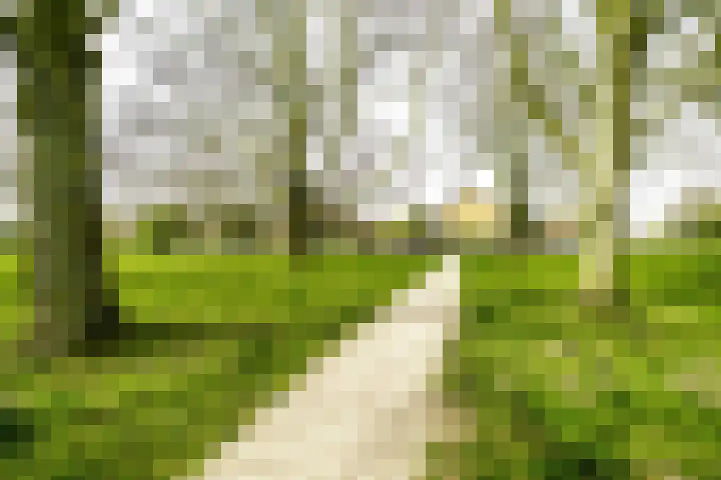 Santpoortse Dreef 150 Santpoort-Noord thumbnail 32