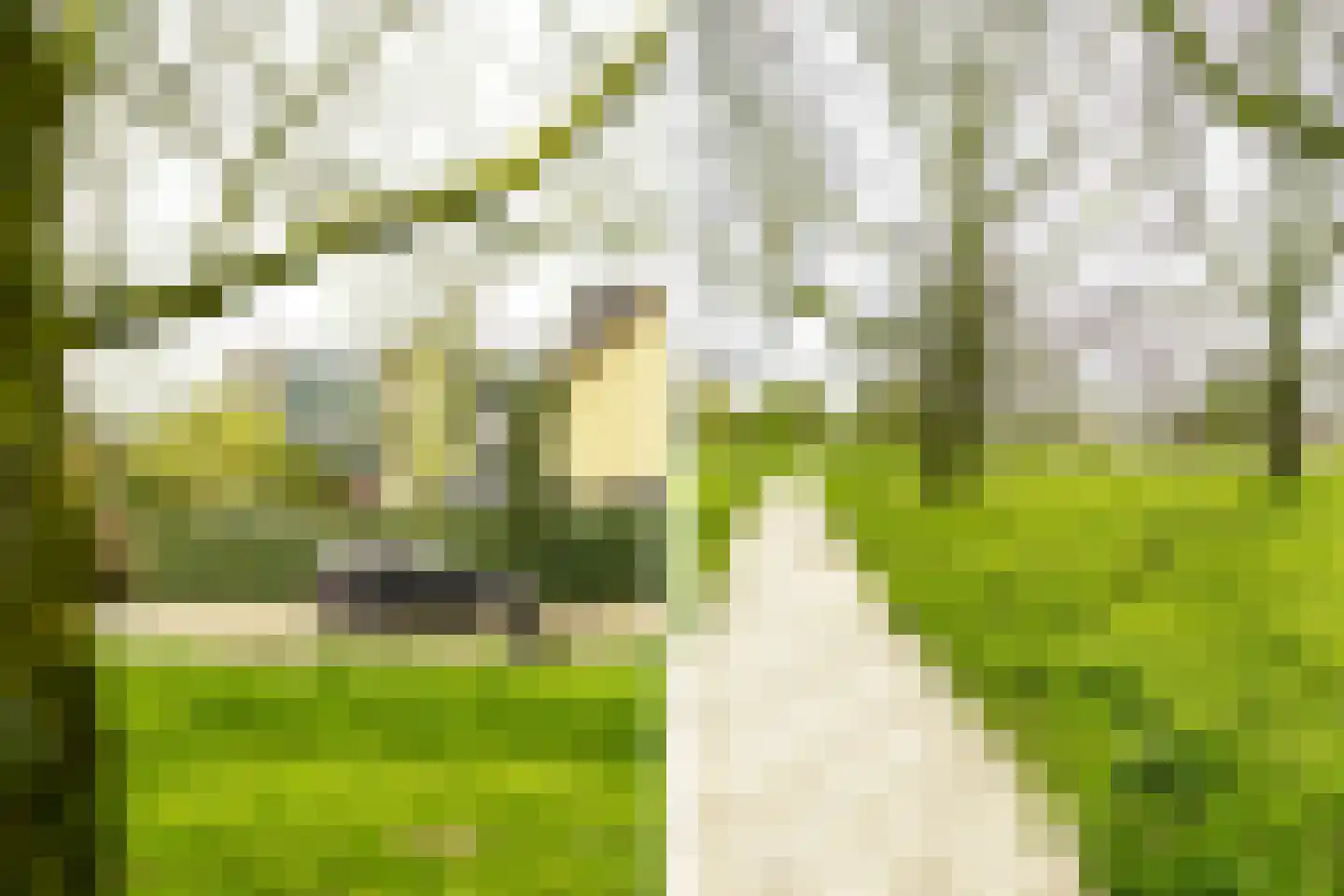 Santpoortse Dreef 150 Santpoort-Noord thumbnail 4