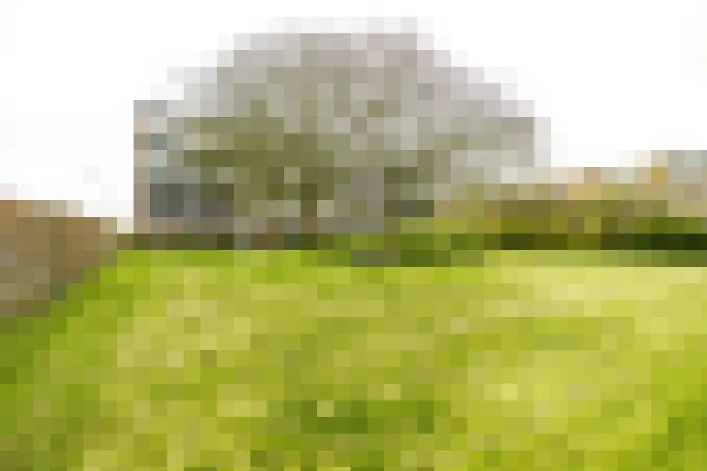 Santpoortse Dreef 150 Santpoort-Noord thumbnail 5