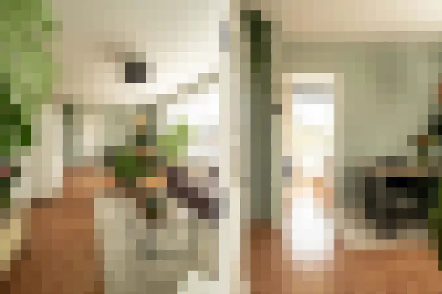 Santpoortse Dreef 150 Santpoort-Noord thumbnail 8