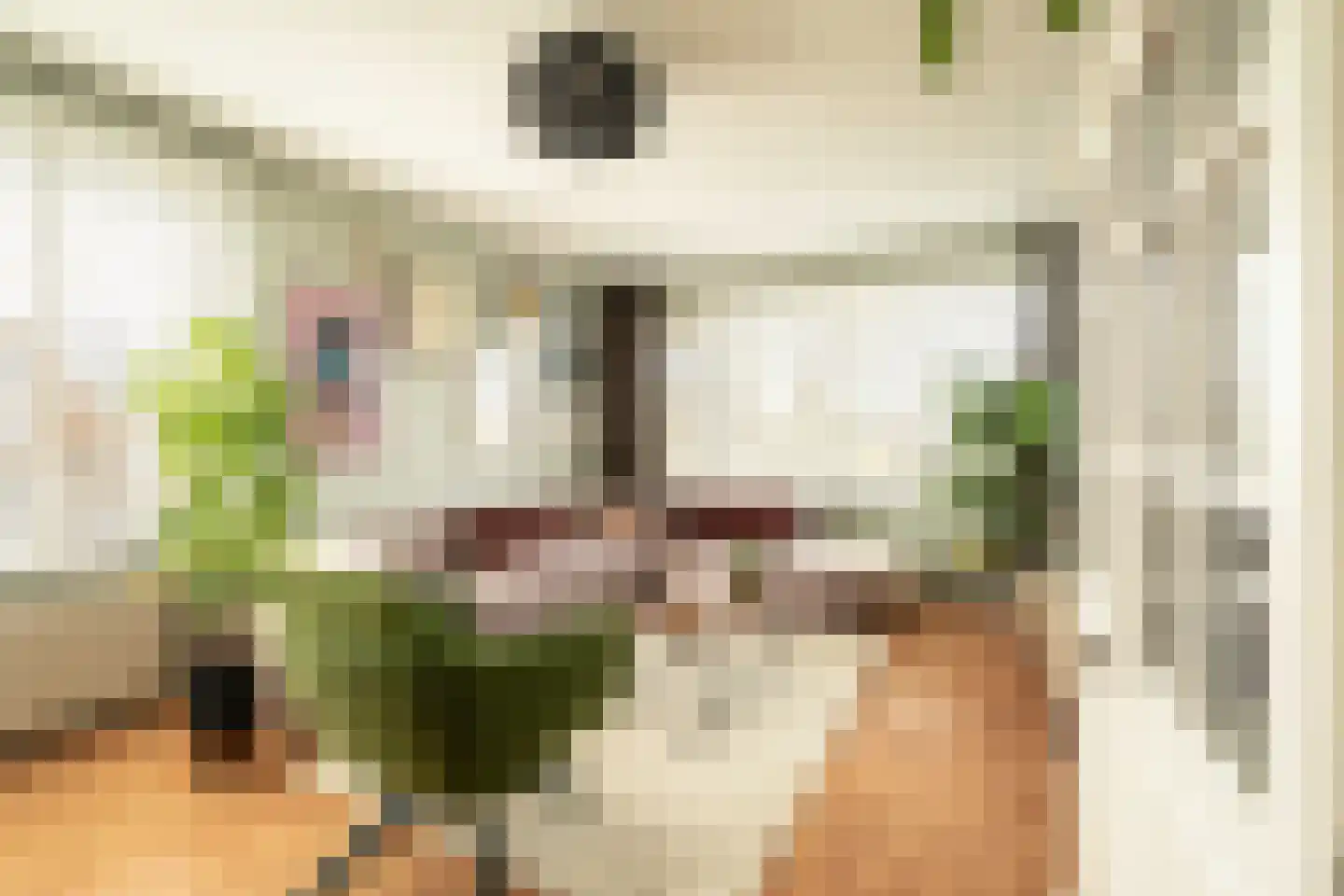 Santpoortse Dreef 150 Santpoort-Noord thumbnail 9
