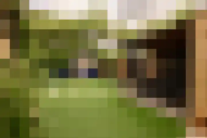 Santpoortse Dreef 162 Santpoort-Noord thumbnail 45