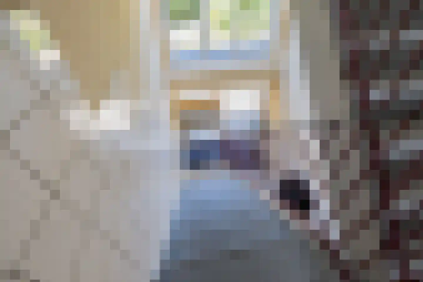 Santpoortse Dreef 18 Santpoort-Noord thumbnail 8