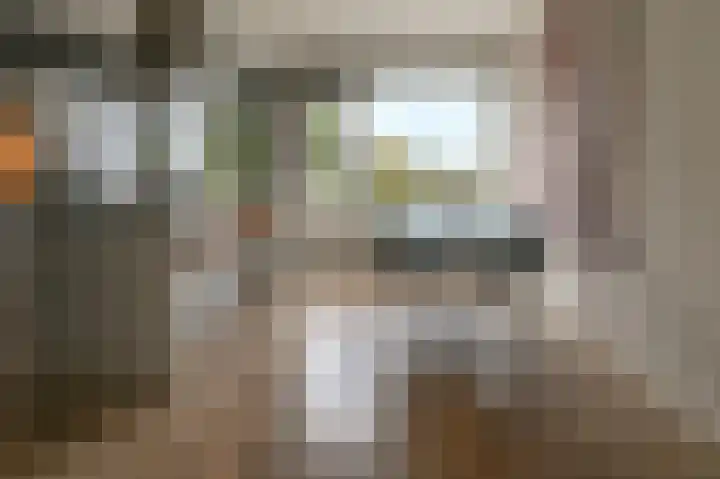 Santpoortse Dreef 24 Santpoort-Noord thumbnail 18