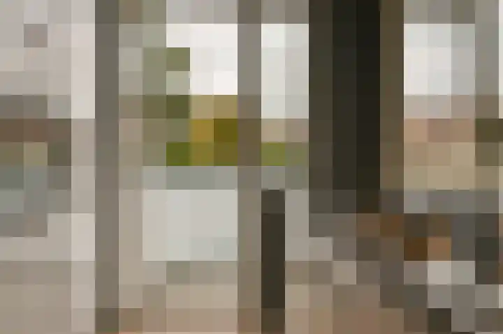 Santpoortse Dreef 24 Santpoort-Noord thumbnail 25
