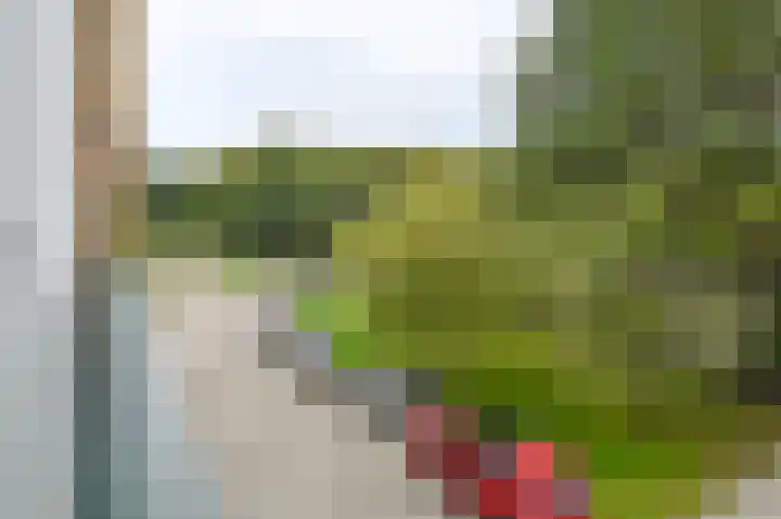 Santpoortse Dreef 24 Santpoort-Noord thumbnail 28