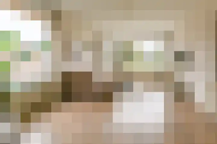 Santpoortse Dreef 24 Santpoort-Noord thumbnail 5
