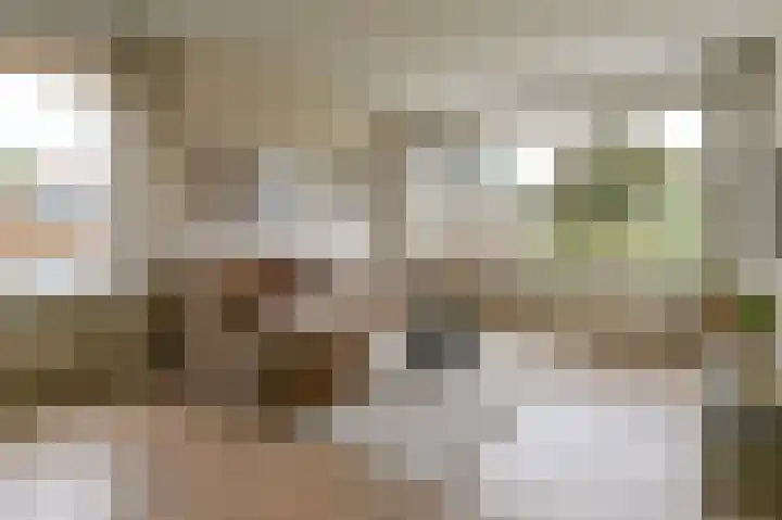 Santpoortse Dreef 24 Santpoort-Noord thumbnail 6