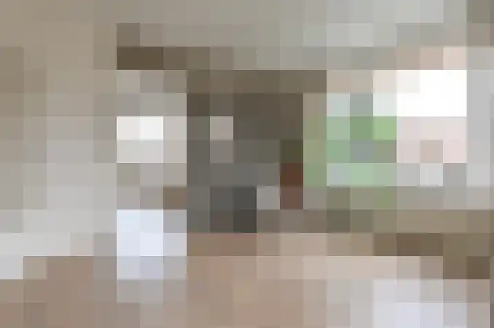 Santpoortse Dreef 24 Santpoort-Noord thumbnail 9