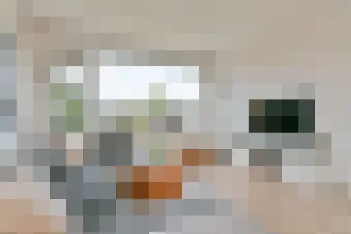 Santpoortse Dreef 28 Santpoort-Noord thumbnail 22