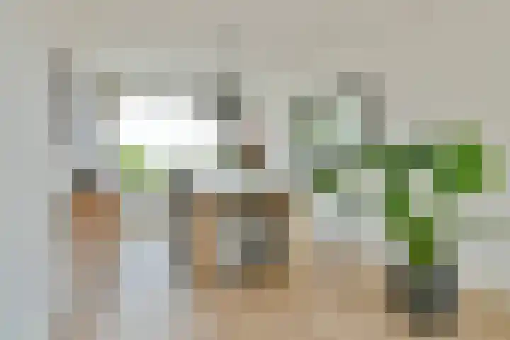 Santpoortse Dreef 28 Santpoort-Noord thumbnail 24