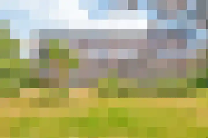 Santpoortse Dreef 28 Santpoort-Noord thumbnail 31