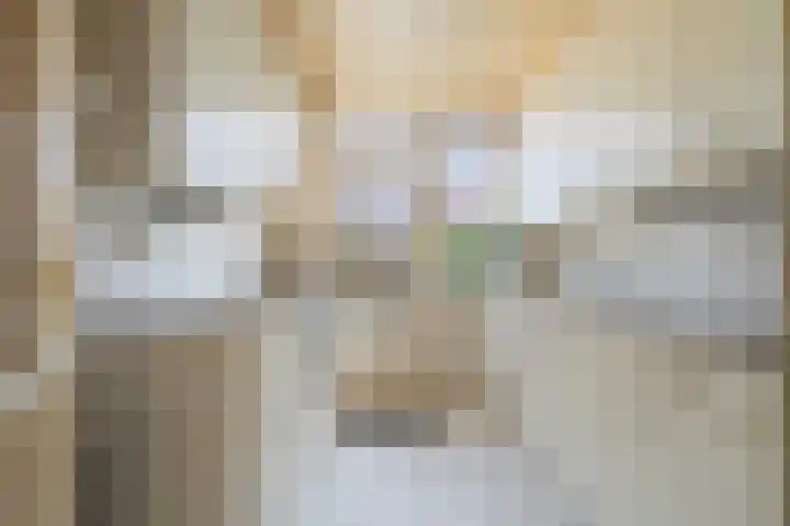 Santpoortse Dreef 36 Santpoort-Noord thumbnail 20