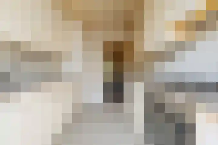 Santpoortse Dreef 36 Santpoort-Noord thumbnail 22