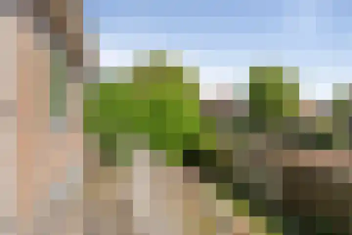 Santpoortse Dreef 36 Santpoort-Noord thumbnail 26