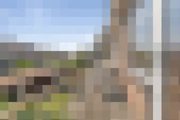 Santpoortse Dreef 36 Santpoort-Noord thumbnail 27