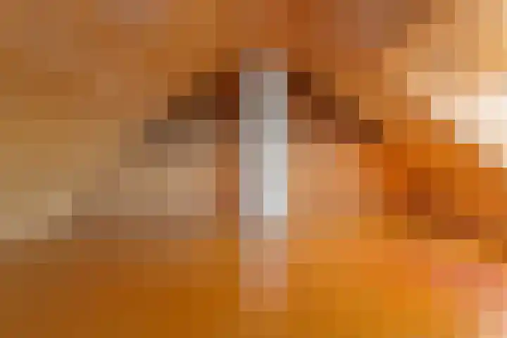 Santpoortse Dreef 36 Santpoort-Noord thumbnail 38