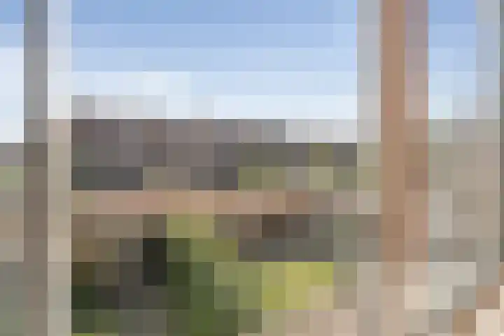 Santpoortse Dreef 36 Santpoort-Noord thumbnail 4