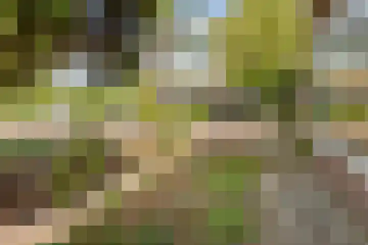 Santpoortse Dreef 36 Santpoort-Noord thumbnail 42