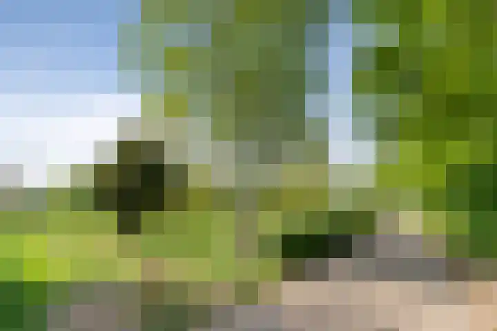 Santpoortse Dreef 36 Santpoort-Noord thumbnail 43