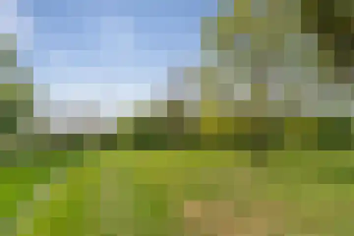 Santpoortse Dreef 36 Santpoort-Noord thumbnail 44
