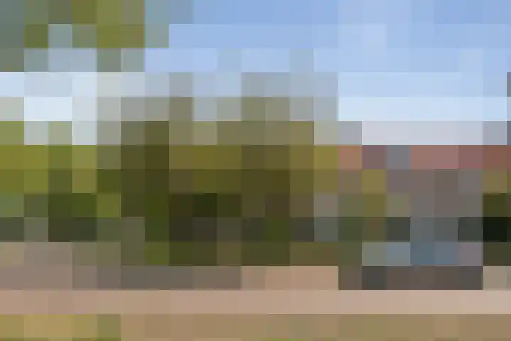 Santpoortse Dreef 36 Santpoort-Noord thumbnail 6