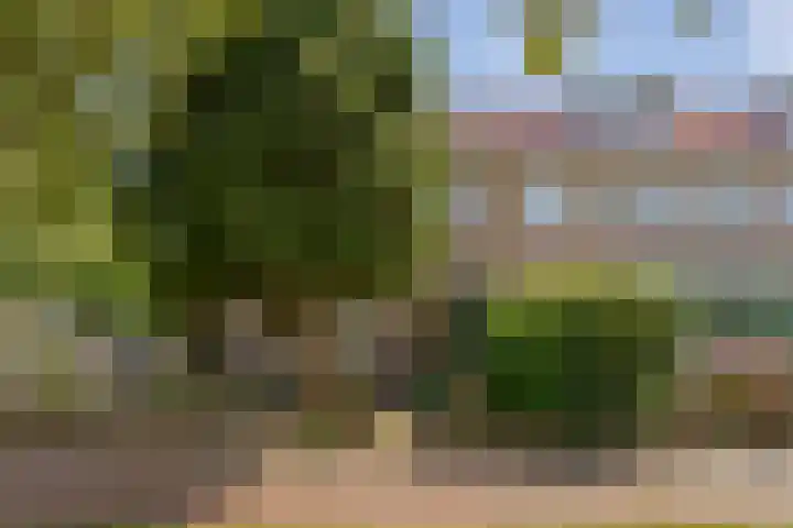 Santpoortse Dreef 36 Santpoort-Noord thumbnail 7