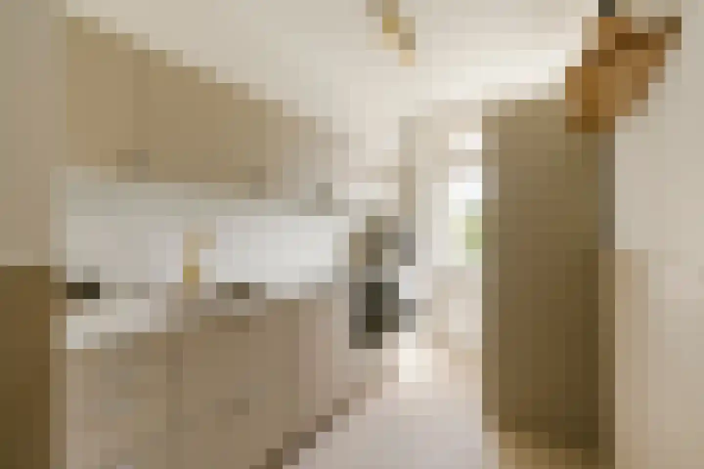 Santpoortse Dreef 44 Santpoort-Noord thumbnail 13