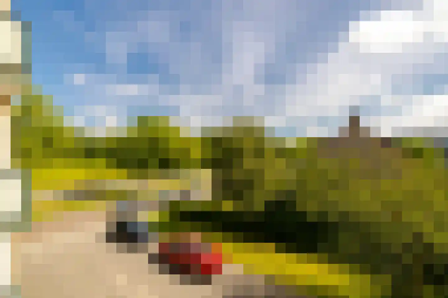 Santpoortse Dreef 44 Santpoort-Noord thumbnail 19