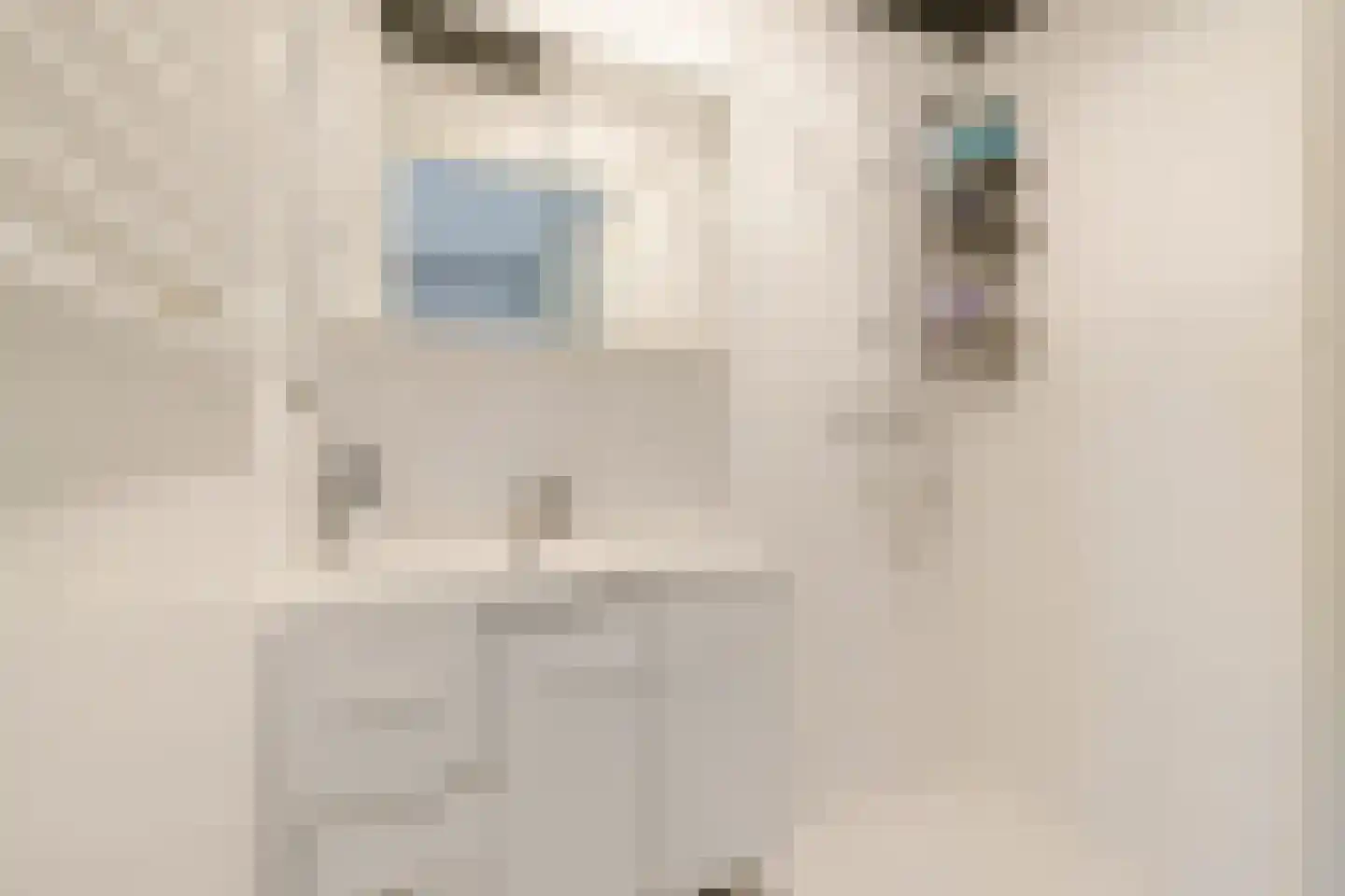 Santpoortse Dreef 44 Santpoort-Noord thumbnail 20