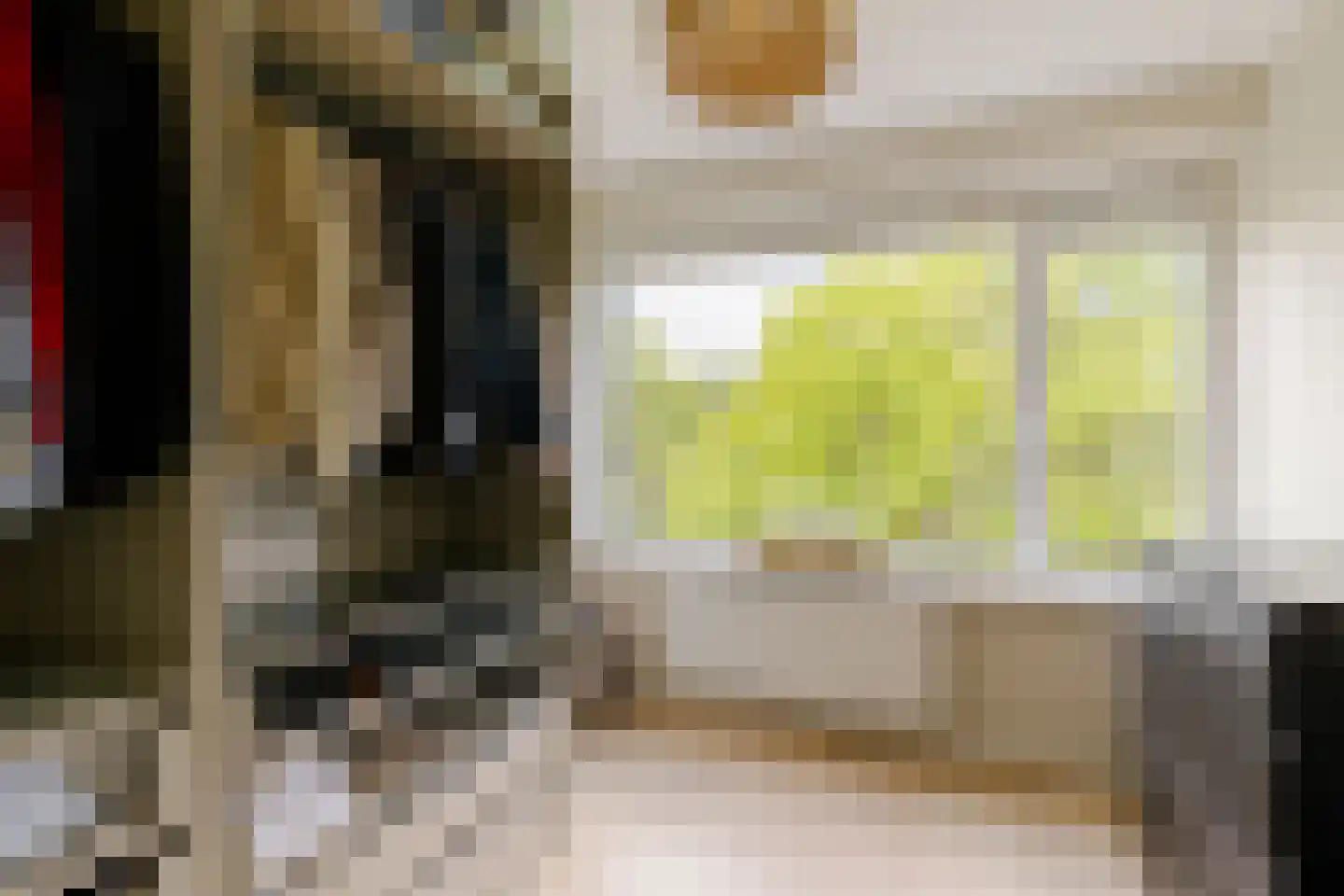 Santpoortse Dreef 44 Santpoort-Noord thumbnail 22