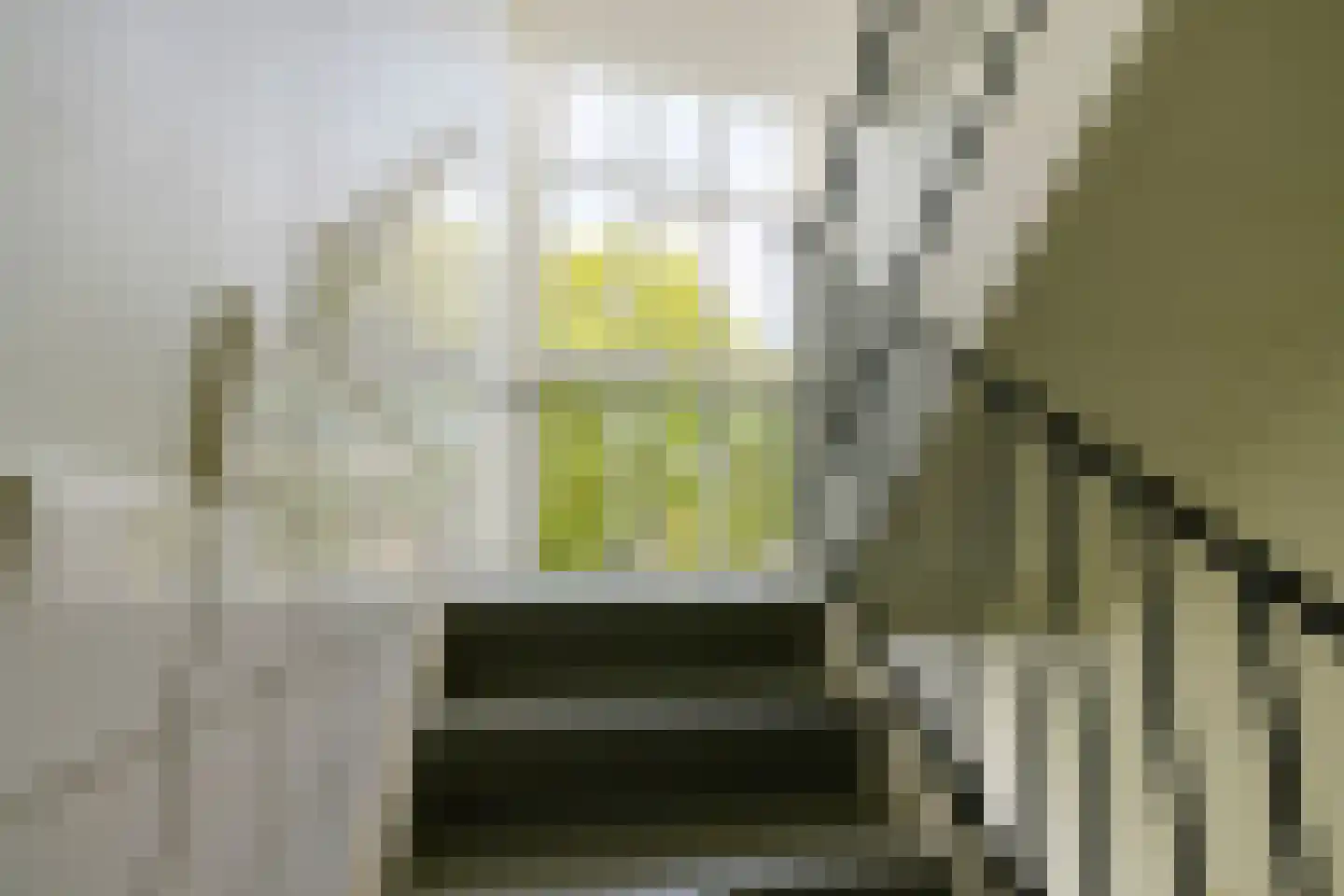 Santpoortse Dreef 44 Santpoort-Noord thumbnail 27