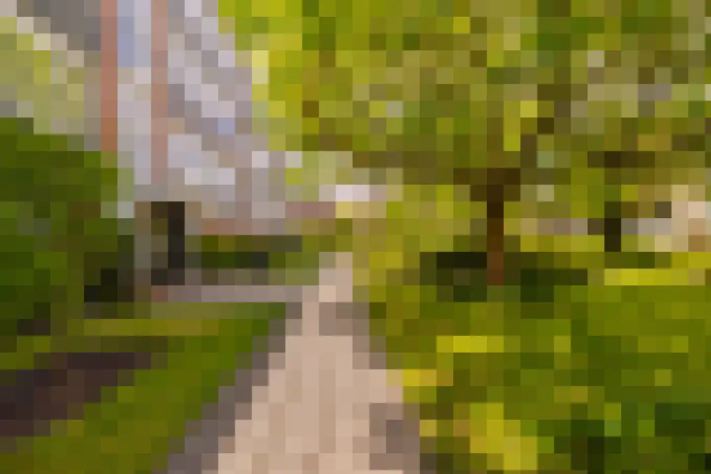 Santpoortse Dreef 44 Santpoort-Noord thumbnail 30